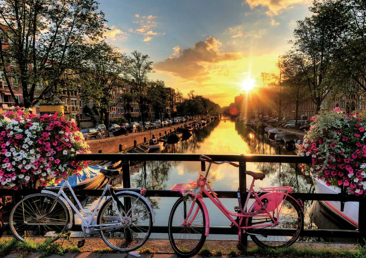 la solution pour faire un voyage d'un jour en car à Amsterdam