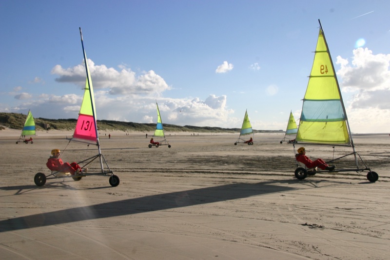 Phoques dans la Baie de Somme lors d’un voyage scolaire