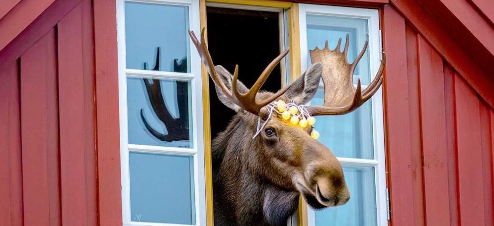 Brochure BT Tours 2026 – Voyages organisés en individuel, en petits groupes ou entre voyageurs solos