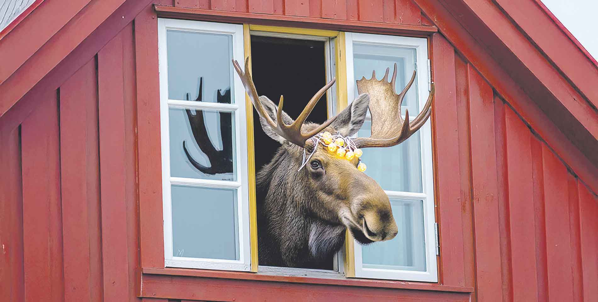 VOyage vers le grand nord