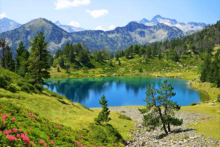 Voyage à lourdes achat en ligne