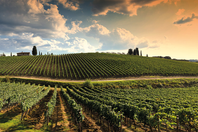 agence de voyage fédération Wallonie-Bruxelles